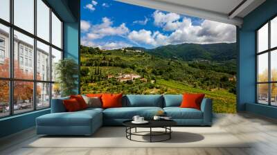 Aerial drone view of vineyards and hills in Tuscany, Italy. Mountain range near city Lucca. Wall mural