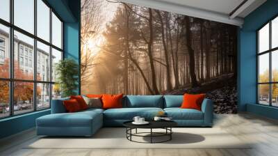 beautifully shining sun with tree backgroun in the forest Wall mural