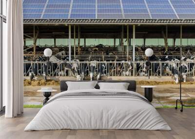 Dutch farm stable with dairy cows and a roof with solar panels Wall mural