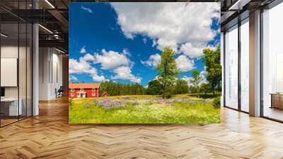 Typical swedish farmhouse in spring Wall mural