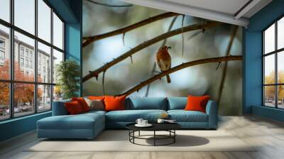 Bird on branch in Forest Wall mural