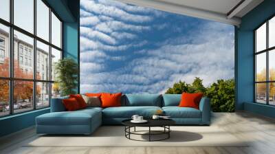 Cirrostratus clouds on a sultry summer day. A rare view of cirrostratus clouds on a calm day. Spindrift clouds. Wall mural