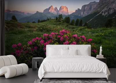 flowers in the mountains Wall mural