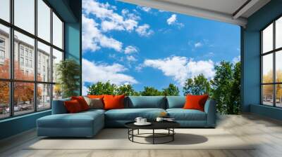 Green tree top line over blue sky and clouds background in summer Wall mural