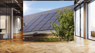 Photovoltaics on the roof of a residential building for alternative energy production with tree in foreground Wall mural