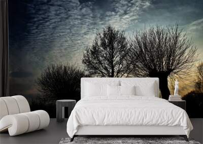 hole punch cloud Wall mural