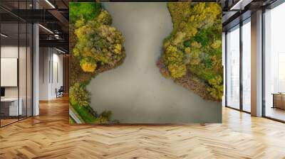 Lake and trees Wall mural