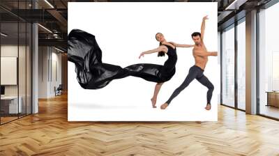 Modern ballet dancer with long flowy black dress posing with a male dancer on white background Wall mural