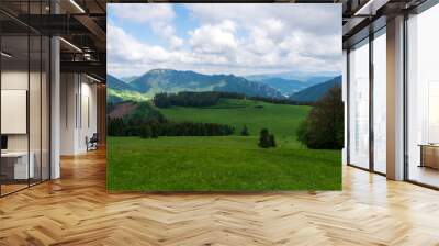 panoramic view of nice green hill on blue sky background  Wall mural