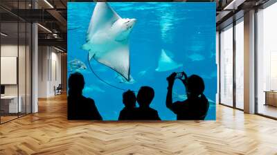 People watching Manta Ray in aquarium Wall mural