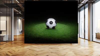 Black and white leather football ball laying on fresh green grass highlighted by spotlight. Wall mural