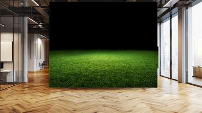 Green lawn illuminated by light and black background. Wall mural