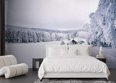 Snowy Eagle Mountains in the Czech Republic Wall mural