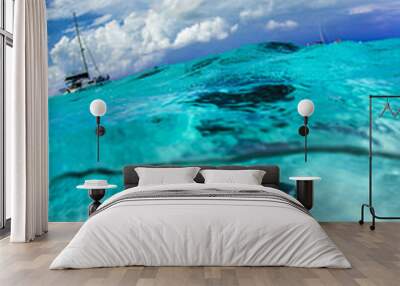 Stingray city - Cayman Islands Wall mural