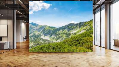 Tourist path in Slovenia mountains near Vogel. Path of top of mountain, green grass, tress, blue sky. Hiking in Europe. Triglav national park, Julian Alps. Wall mural