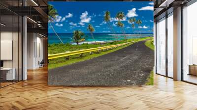 Coastal road lined with palm trees, overlooking tropical ocean, Samoa Wall mural