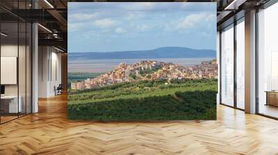 View of Carpino city. Gargano, Puglia, Italy, Europe.  Wall mural