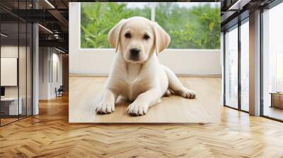 Beautiful animal labrador retriever playing joyfully on a white and green summer interior floor, spreading happiness and love in a cute, furry furry form  Wall mural