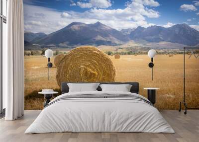 Hay bale on a field in Wyoming with mountains in the background Wall mural