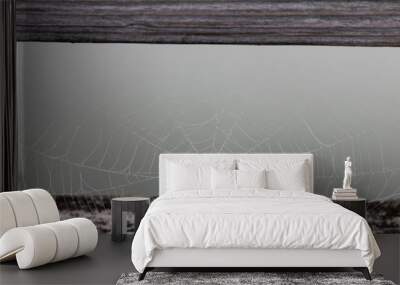 Spiderweb between two boards, close-up Wall mural