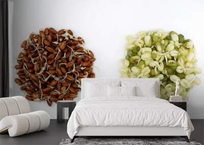 Sprouted grains of red wheat and mung beans, white background. Healthy eating concept Wall mural