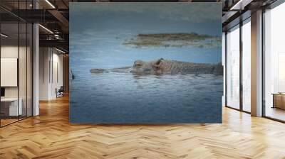 Submerged hippopotamus in a pond in the Serengeti, side view Wall mural