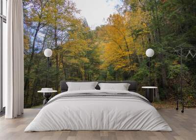 Two lane road in the Great Smoky Mountains National Park with fall foliage Wall mural