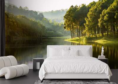 Beautiful landscape view of pine forest tree and lake view of reservoir. Wall mural