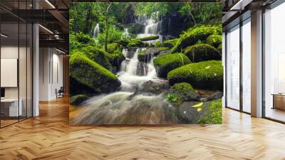 beautiful waterfall in green forest in jungle at phu tub berk mo Wall mural