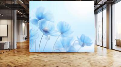 Flowers of Himalayan Blue Poppy on blue background Wall mural