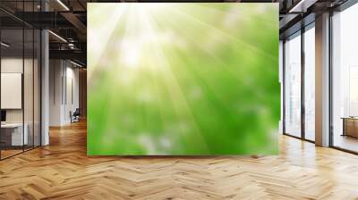 Green defocused lights useful as a background. Good for website  Wall mural