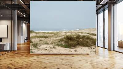 Sand dunes on the beach of Esmoriz Wall mural