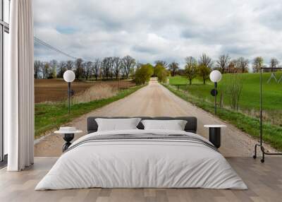 empty country road in spring Wall mural