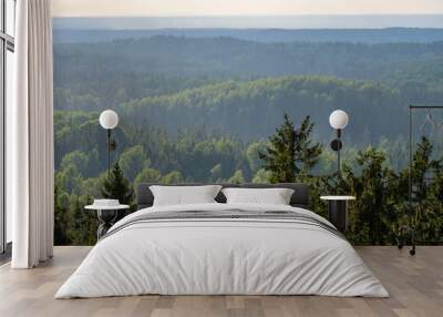 forest view from above with fog Wall mural