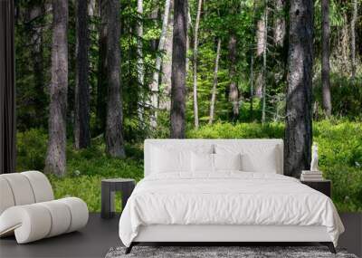 fresh green summer forest foliage with tree trunks Wall mural