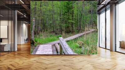 small narrow wooden plank foot path in summer green forest Wall mural