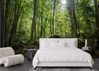 Forests in the Orlu National Wildlife Reserve, in Ariège, the Maison des Loups in France Wall mural