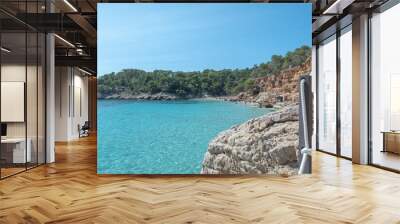 Turquoise waters of Cala Saladeta in Ibiza in summer Wall mural