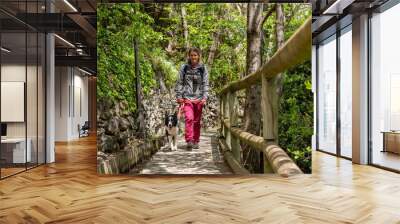 Woman walk whit a god in the Rec del Sola in Andorra. Wall mural