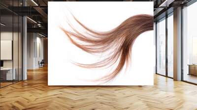 Light brown hair - White background Wall mural