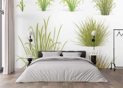 various tufts of grass elements Wall mural