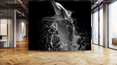 Black and white illustration with an dolphin Wall mural