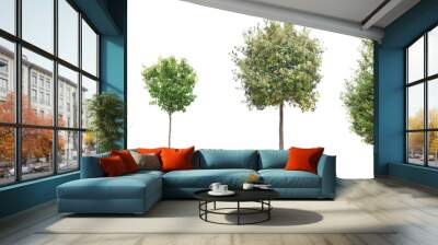 Isolated tree - collection Wall mural