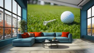 the golf ball on the green grass with a white tee beside it. Wall mural