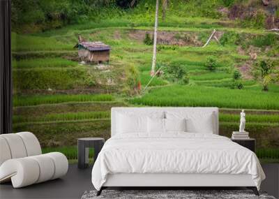 landscape from a high mountain on a beautiful background of a coffee and rice farm with small house Wall mural