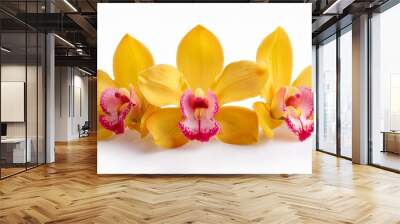 beautiful yellow orchid blossom with pink isolated on white background Wall mural