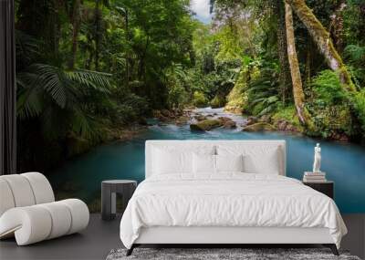 blue river in tropical forest Wall mural