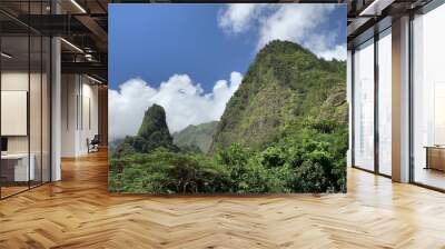 Closeup shot of a green volcanic rock mountain landscape on the island of Maui, Hawaii Wall mural