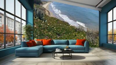 Vertical shot of the Pacific Ocean coast from a hillside in  Santa Barbara, California, the USA Wall mural