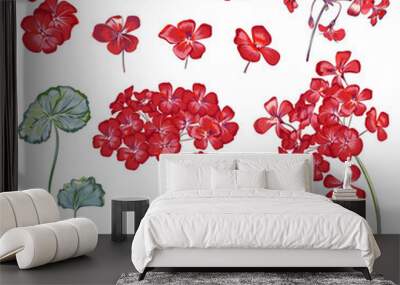 Collection of vector geranium flowers for design in red color Wall mural